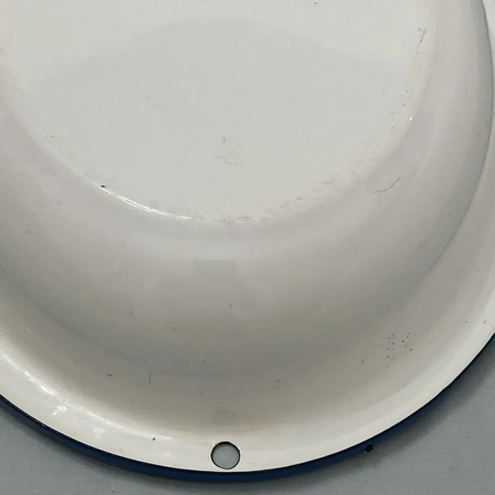 Vtg Enamelware Floral Print Rose Cinsa Brand Saltillo Mexico Oval Blue Trim